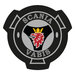 ADESIVO EMBLEMA - 09 SCANIA VABIS