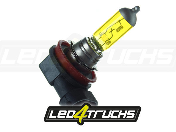 H11 GIALLO ALOGENO 24V 70W Drogato di camion TRUCKJUNKIE The online Truckshop
