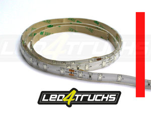 100 cm - Ross - Flexistrip 24V - Interno